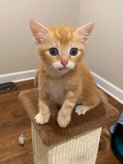 Franklin photo
