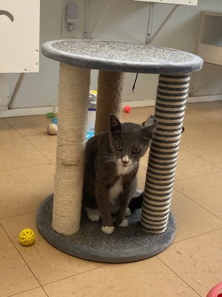 Penelope photo