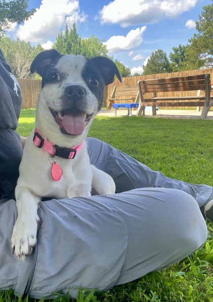 Zuzu photo