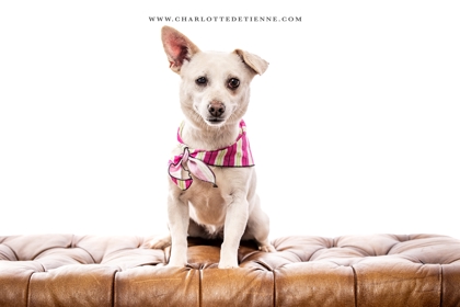Chloe photo