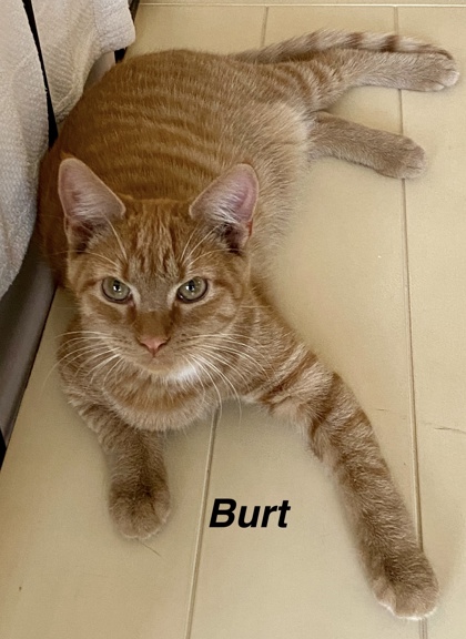 Burt photo