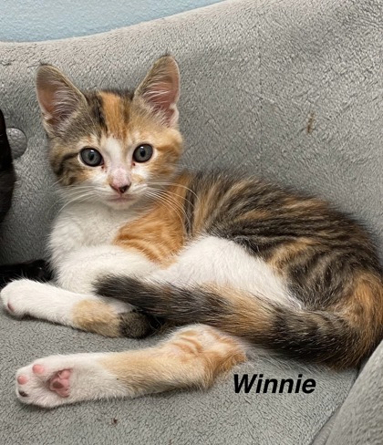 Winnie photo