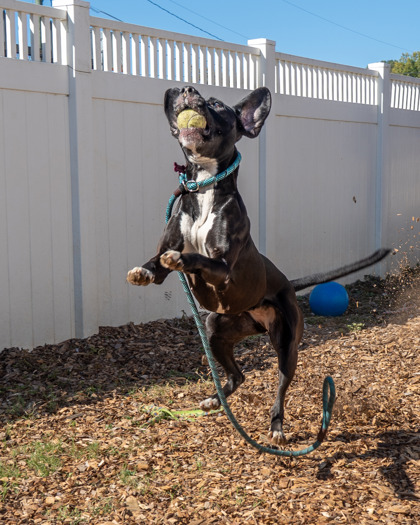 Woofi Goldberg photo 2