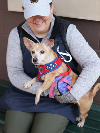 Chia-ADOPTED photo 3