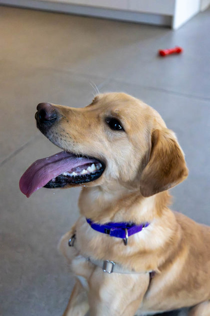 photo of Winston