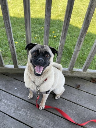 photo of Phoebe