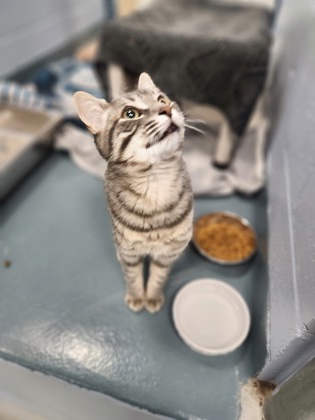 photo of Luke Skywhisker