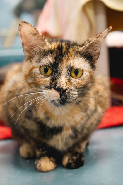 photo of Tina