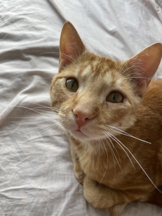 photo of Binky