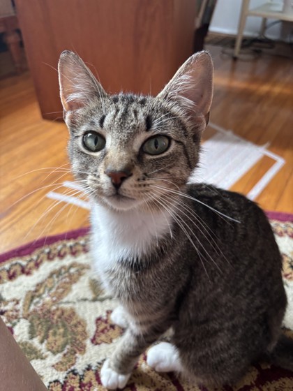 photo of Mama Bean