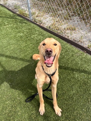 photo of Winston