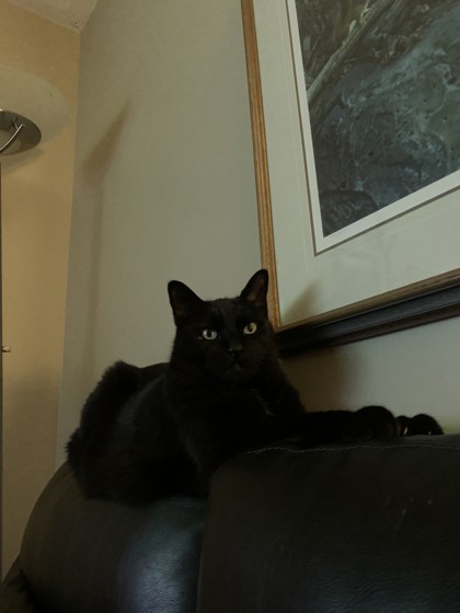 photo of Greg