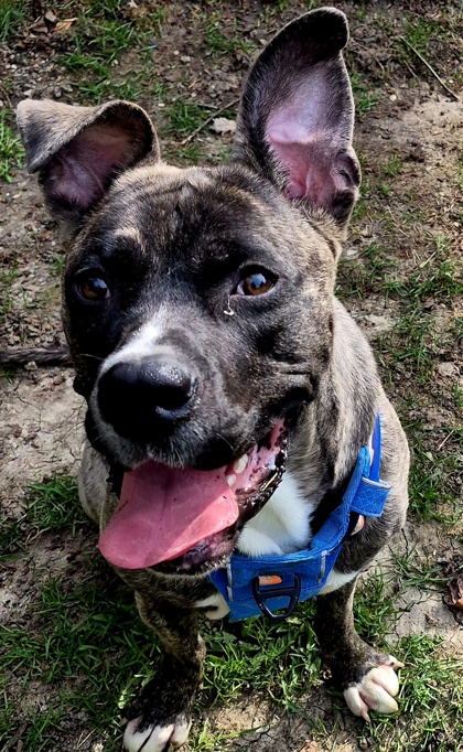 photo of Ernie