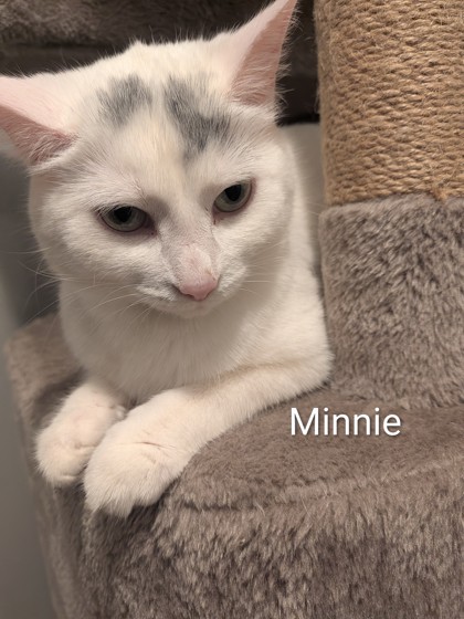 photo of Minnie