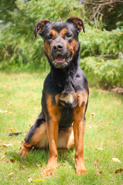 photo of Nora