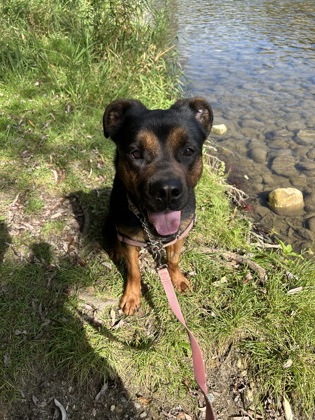 photo of Nora