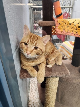 photo of Stormy