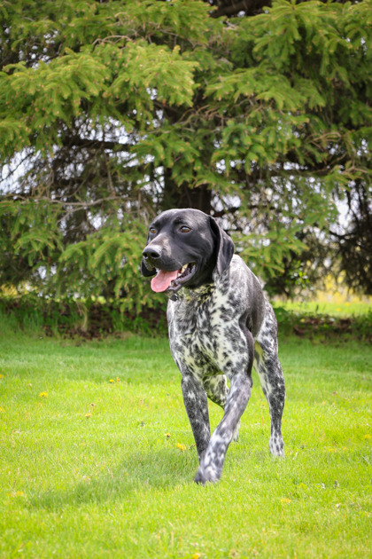 photo of Waldo