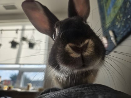 photo of Batman