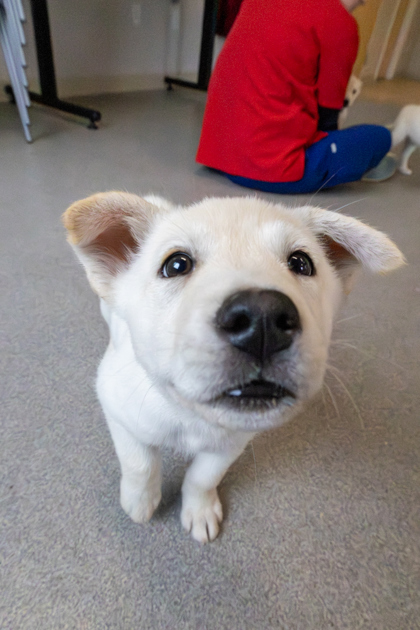 photo of Powder