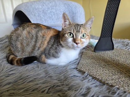 photo of Mable