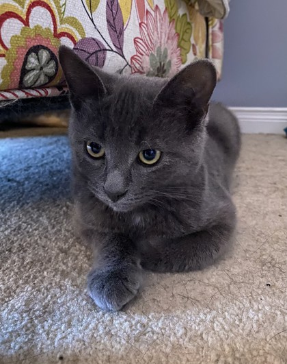 photo of Charlie