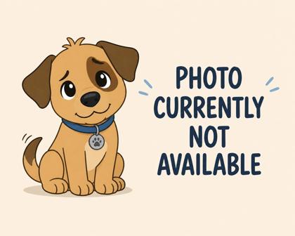 photo of Blue