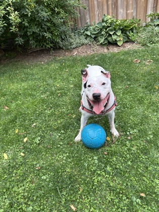 photo of Jack