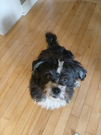 photo of Angel