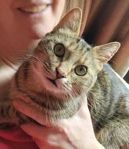 photo of Clementine