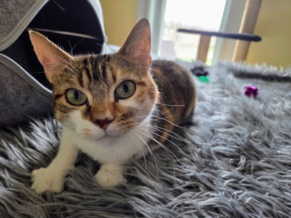 photo of Mable