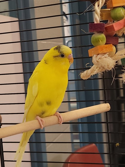 photo of Lilith