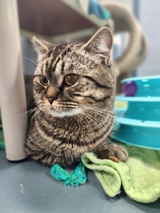 photo of Sugar