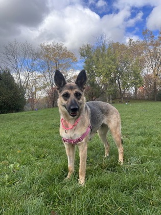 photo of Daisy