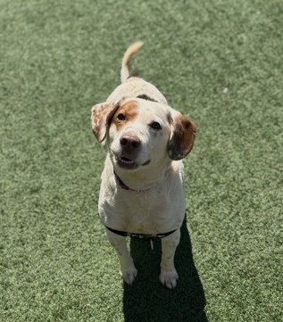 photo of Chauncy
