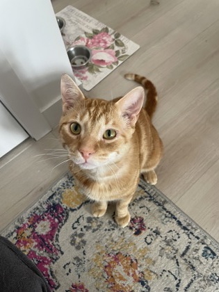 photo of Binky