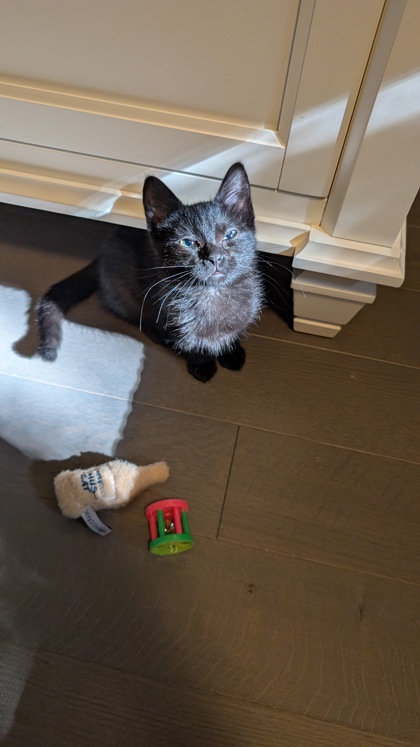 photo of Mavis