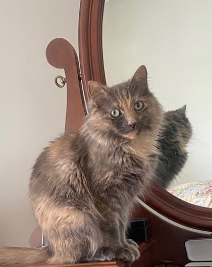 photo of Mila