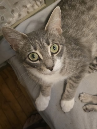 photo of Sadie