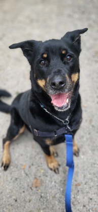 photo of Sugar
