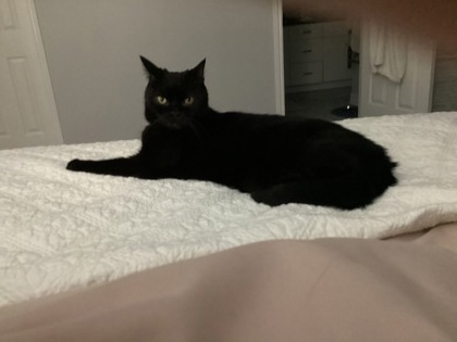 photo of Darryl