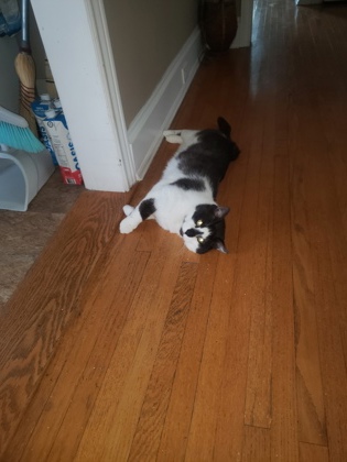 photo of Bob Jr.