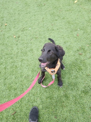 photo of Ellie