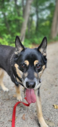 photo of Rocky