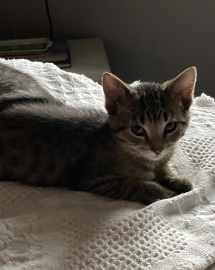 photo of Ursula