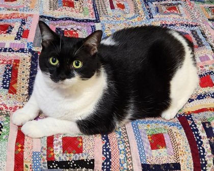 photo of Lucy