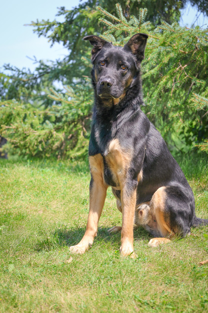 photo of Flint