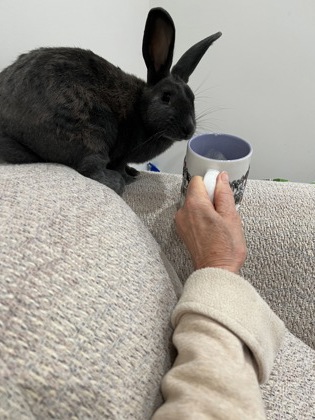 photo of Frankie