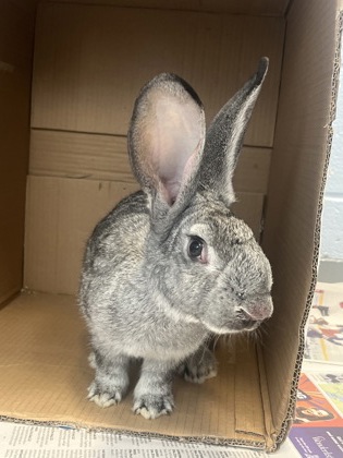 photo of Emmy