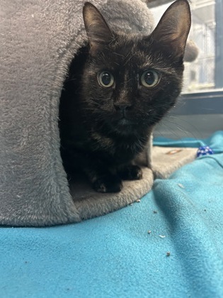 photo of Hilda